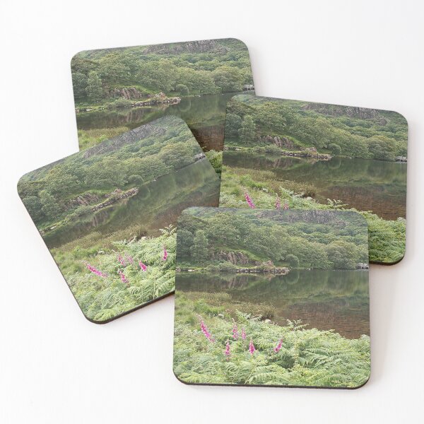 Item preview, Lynn Dinas designed and sold by Murph's Images.