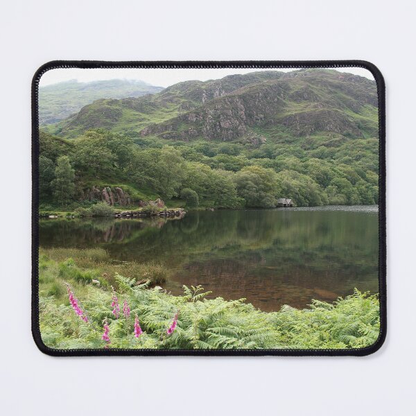 Item preview, Lynn Dinas designed and sold by Murph's Images.