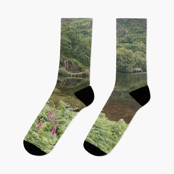 Item preview, Lynn Dinas designed and sold by Murph's Images.