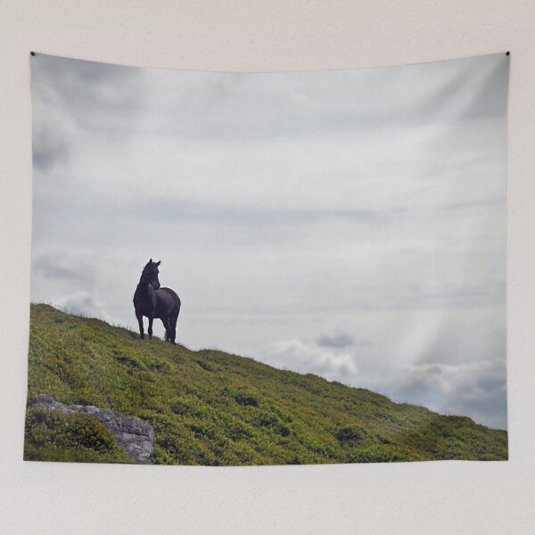 Item preview, horse mountain designed and sold by Murph's Images.