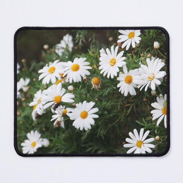 Item preview, Daisies In My Garden designed and sold by Lauren Elizabeth Photograhy AU.