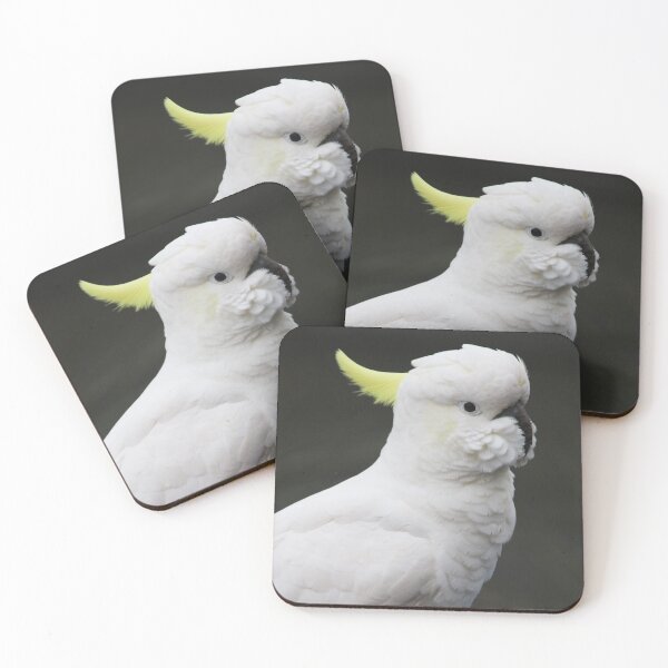 Item preview, Surfur Crested Cockatoo at Katoomba, NSW, 2018 designed and sold by Lauren Elizabeth Photograhy AU.