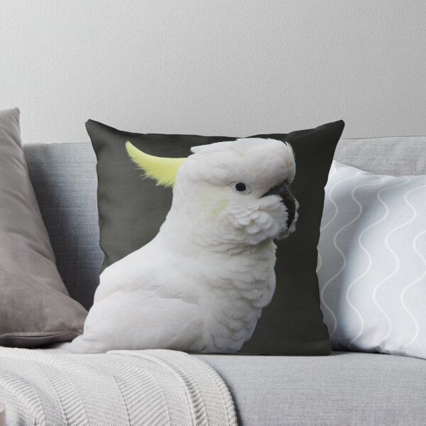 Item preview, Surfur Crested Cockatoo at Katoomba, NSW, 2018 designed and sold by Lauren Elizabeth Photograhy AU.