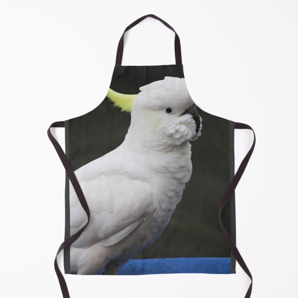 Item preview, Surfur Crested Cockatoo at Katoomba, NSW, 2018 designed and sold by Lauren Elizabeth Photograhy AU.