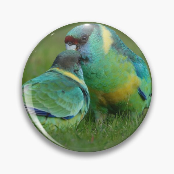 Item preview, Australian Ringneck Parrot  designed and sold by Seesee.