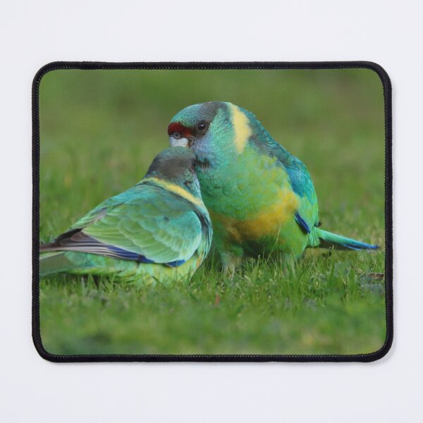 Item preview, Australian Ringneck Parrot  designed and sold by Seesee.