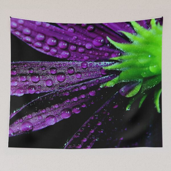 Item preview, Flower photography - purple daisy flowers - floral  designed and sold by Ingrid Beddoes Photography.