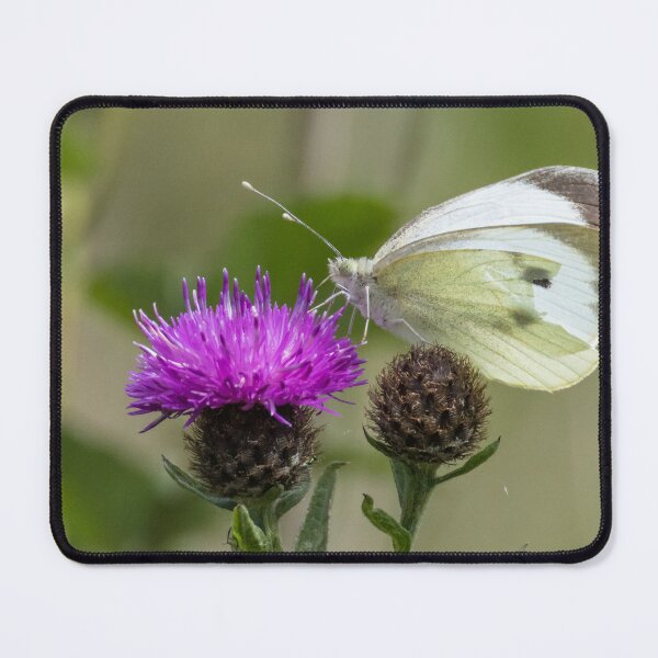 Item preview, Large White designed and sold by LaurenTucker.
