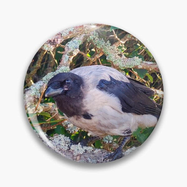 Artikelvorschau, Kleine Krähe in seinem Baum entworfen und verkauft von Taina Sohlman.