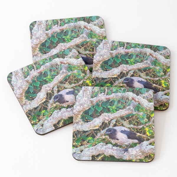 Item preview, Little Crow in His Tree  designed and sold by Taina Sohlman.