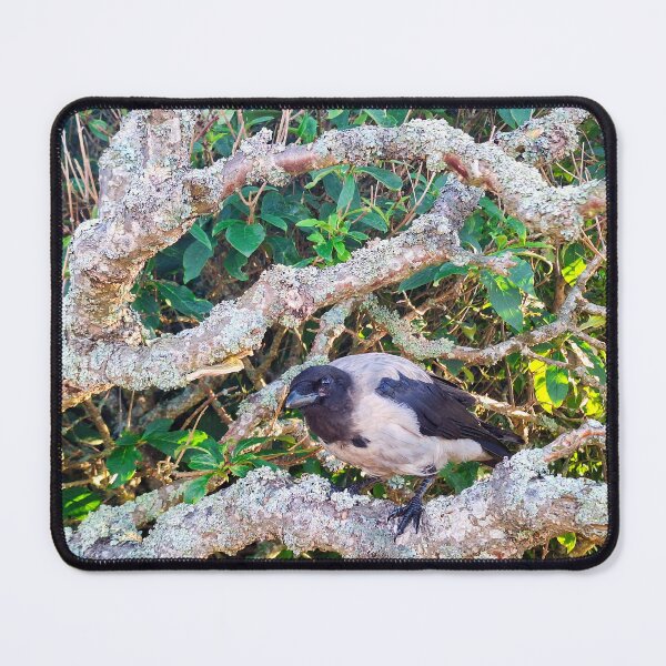 Item preview, Little Crow in His Tree designed and sold by Taina Sohlman.