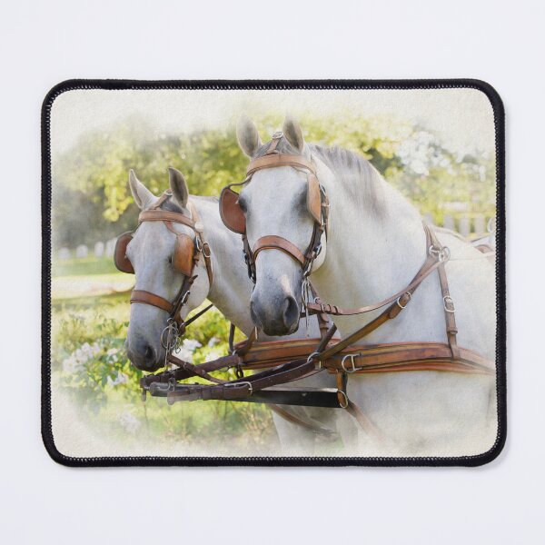 Item preview, two white horses at a carriage in watercolor designed and sold by FotoMahieu.
