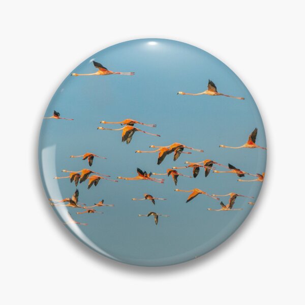 Item preview, Flock of flamingoes designed and sold by Photopat.
