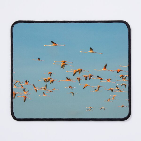 Item preview, Flock of flamingoes designed and sold by Photopat.
