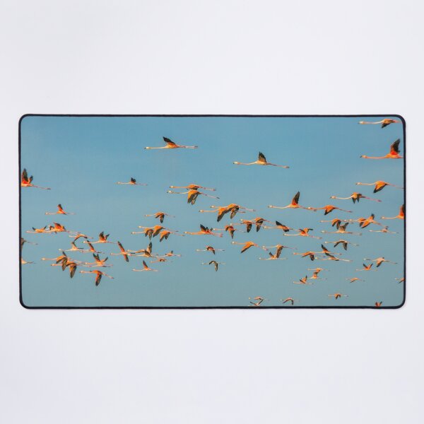 Item preview, Flock of flamingoes designed and sold by Photopat.