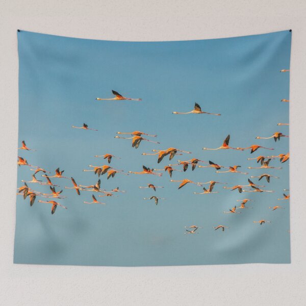 Item preview, Flock of flamingoes designed and sold by Photopat.