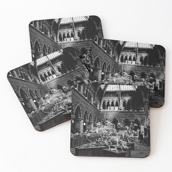 Item preview, Through Time and Light – Oxford’s Hall of Natural History designed and sold by Rowena Ko.