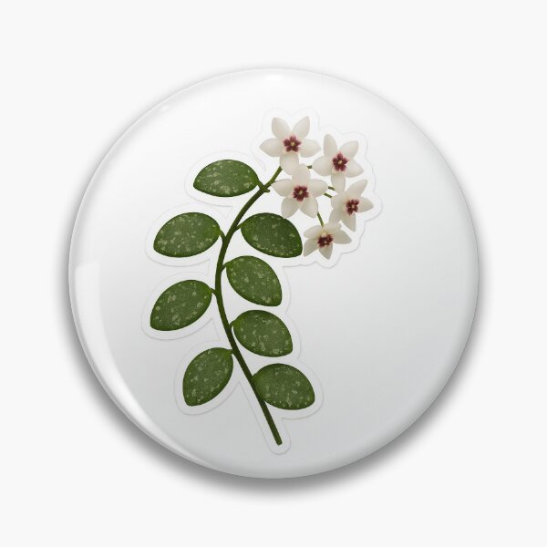 Item preview, Flowering Hoya Mathilde designed and sold by plantyofmel.