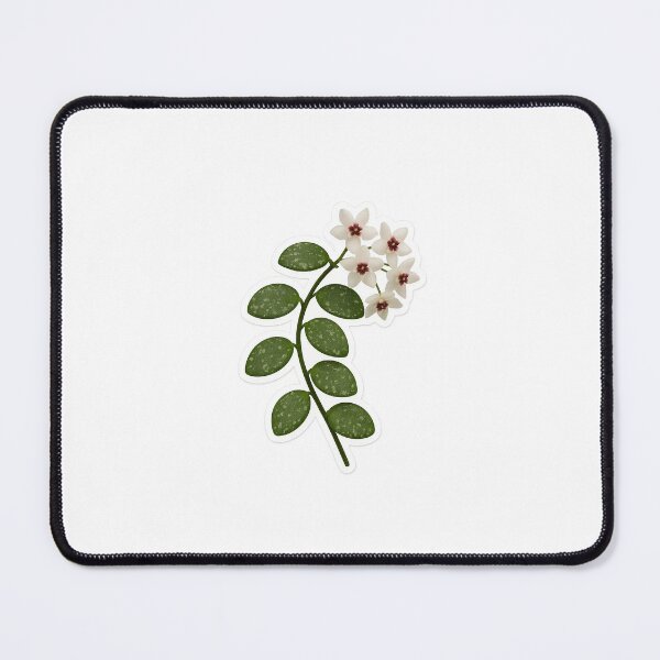 Item preview, Flowering Hoya Mathilde designed and sold by plantyofmel.
