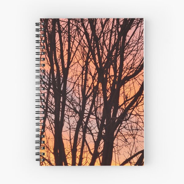 Item preview, Trees in a sunset designed and sold by itsMadster.