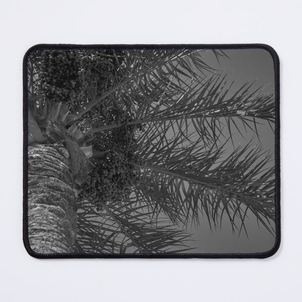 Item preview, Palm tres designed and sold by IgorKovalenko.