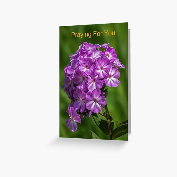 Item preview, Praying For You designed and sold by 1icreations.