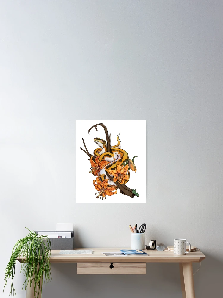 Thumbnail 2 of 3, Poster, Tiger Lily Ball Python designed and sold by Morgan Carpenter.
