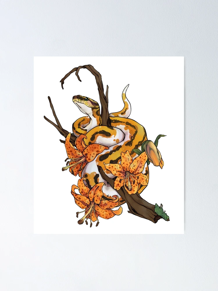 Thumbnail 1 of 3, Poster, Tiger Lily Ball Python designed and sold by Morgan Carpenter.