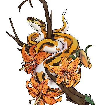 Artwork thumbnail, Tiger Lily Ball Python by Morgan Carpenter