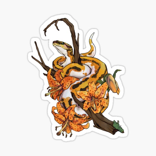 Item preview, Tiger Lily Ball Python designed and sold by Morgan Carpenter.