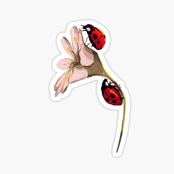 Aperçu de l'œuvre Autocollant Coccinelle sur une fleur créée et vendue par TheCuriousLadybird.