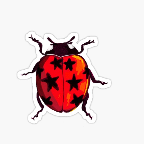 Aperçu de l'œuvre Autocollant coccinelle à motif étoile créée et vendue par TheCuriousLadybird.