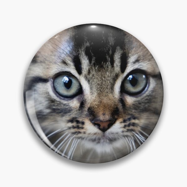 Item preview, Kitten Fluff designed and sold by Skylark-Art.
