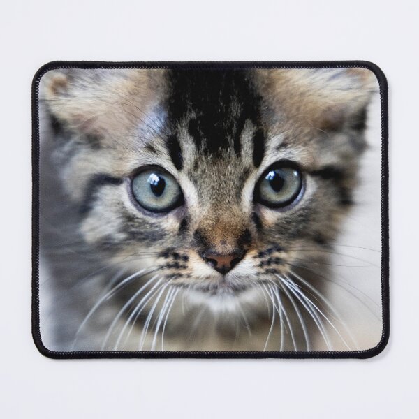 Item preview, Kitten Fluff designed and sold by Skylark-Art.