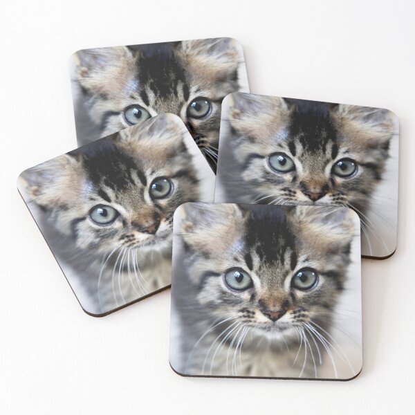 Item preview, Kitten Fluff designed and sold by Skylark-Art.