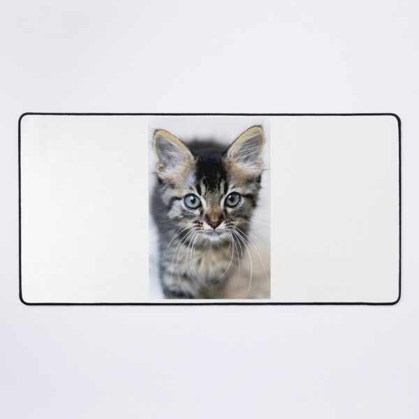 Item preview, Kitten Fluff designed and sold by Skylark-Art.