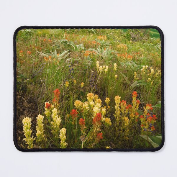 Item preview, Paintbrush on the Palouse, Moscow, Idaho designed and sold by Alison Meyer Photography.