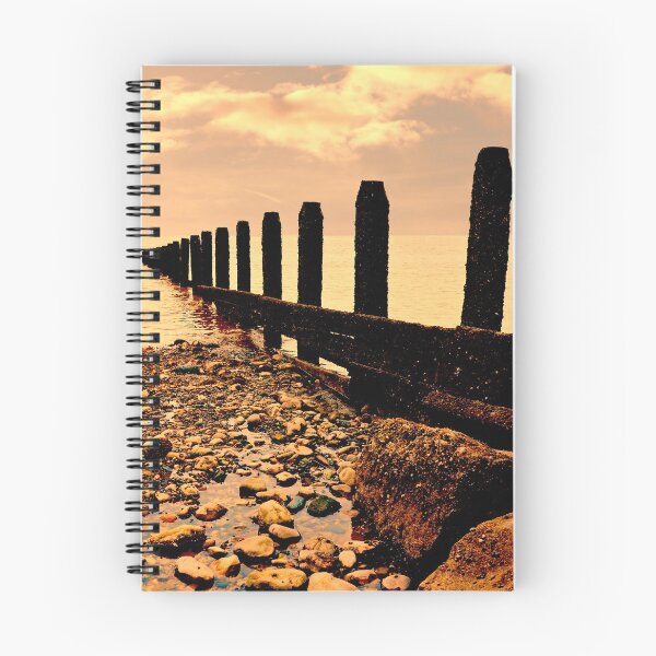 Item preview, A timber sea groyne on the beach at Teignmouth. designed and sold by Frank  Irwin.