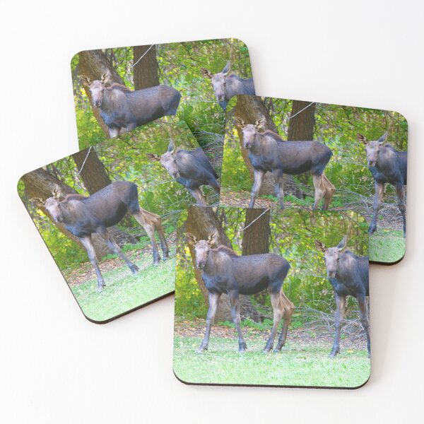 Item preview, Palouse Baby Moose designed and sold by Alison Meyer Photography.
