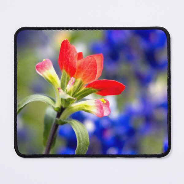 Item preview, Red in a sea of Blue designed and sold by Skylark-Art.