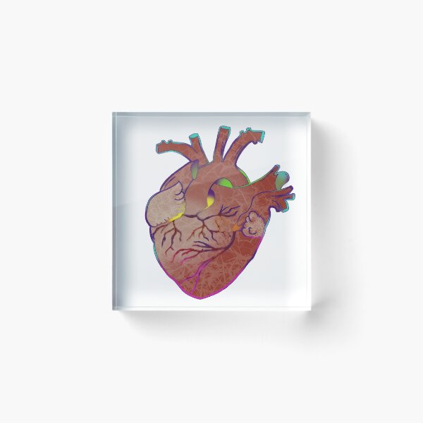 Item preview, anatomical heart color pop and semi-realism designed and sold by Kalhanne.