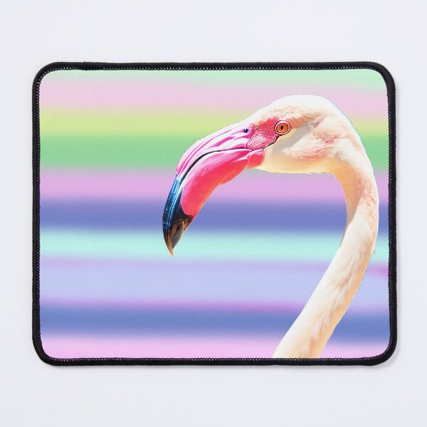 Item preview, Let’s Flamingle designed and sold by Art & Coffee.