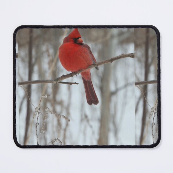 Item preview, Magical Cardinal by Yannis Lobaina designed and sold by Yannis Lobaina Art .