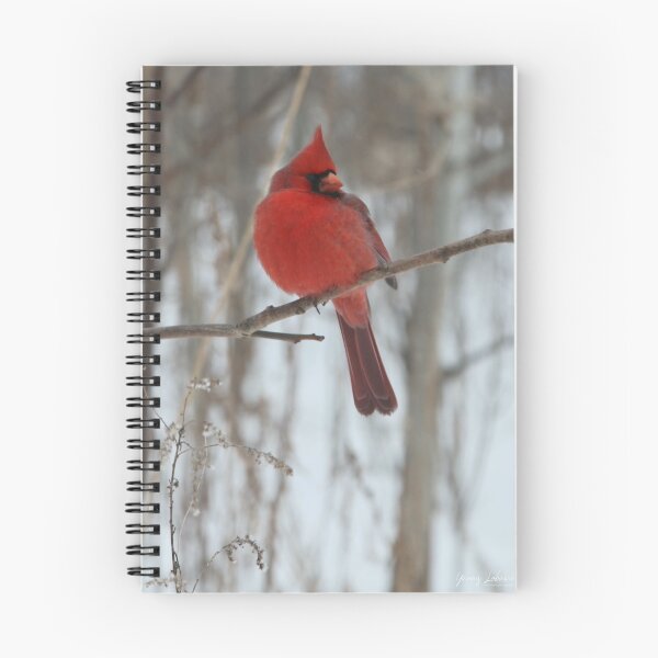 Item preview, Magical Cardinal by Yannis Lobaina designed and sold by Yannis Lobaina Art .