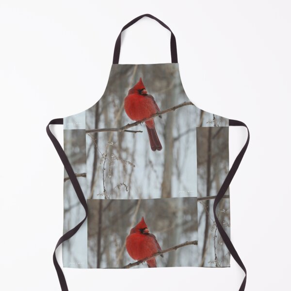 Item preview, Magical Cardinal by Yannis Lobaina designed and sold by Yannis Lobaina Art .