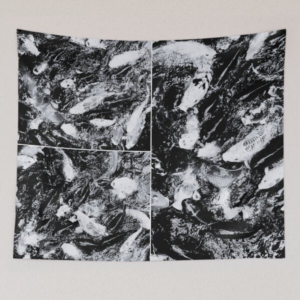 Item preview, Koi carp in a pond black and white designed and sold by Dryft7.