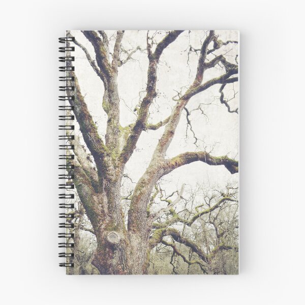 Item preview, Wise Old Oak Tree designed and sold by LupenGrainne.