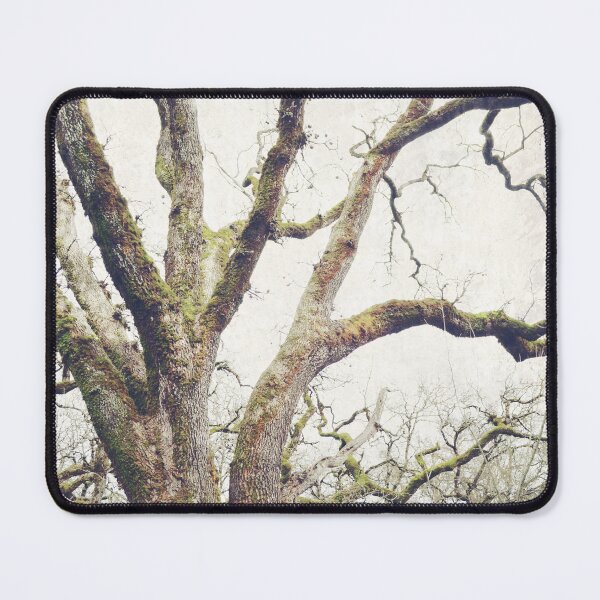 Item preview, Wise Old Oak Tree designed and sold by LupenGrainne.