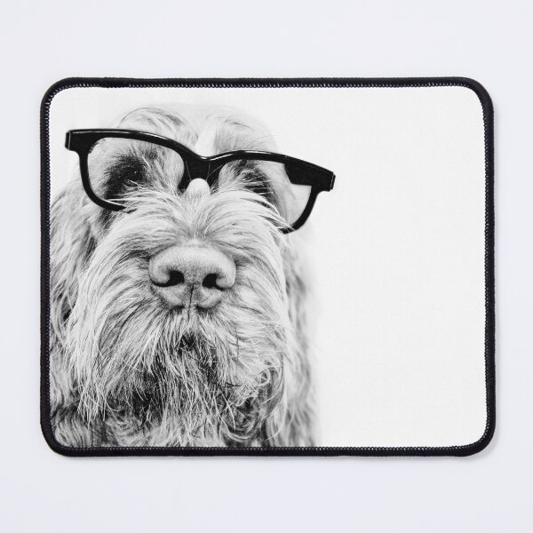 Item preview, Intellectual Italian Spinone – Dog with Glasses by ©️ heidiannemorris designed and sold by FOLK ART FUSION by heidiannemorris.