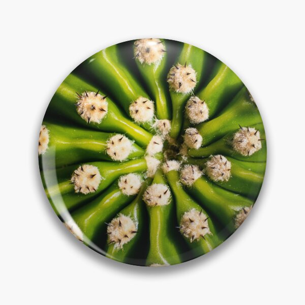 Item preview, Cactus Geometry designed and sold by ByFragments.